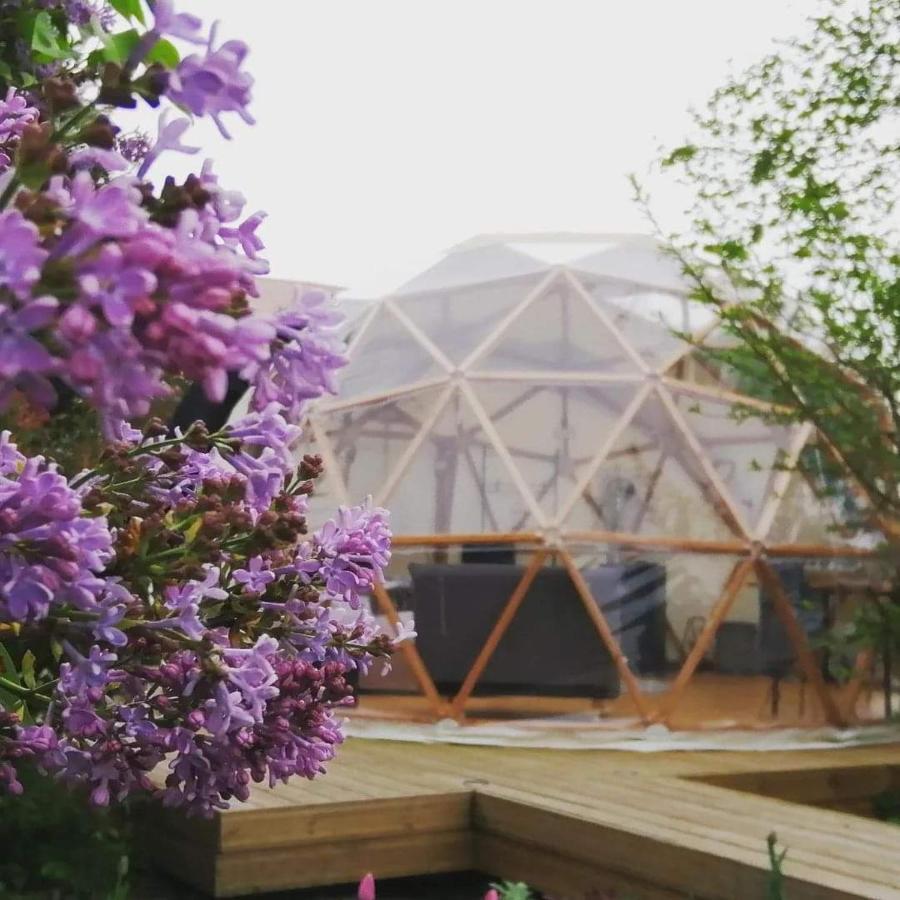 Le Dome Aux Oiseaux Hotell Bérig-Vintrange Exteriör bild